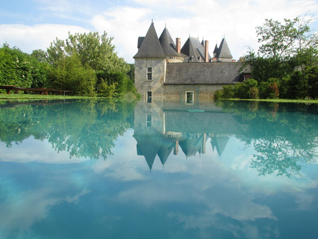 Chateau De Vauloge Ferce-sur-Sarthe Exterior photo