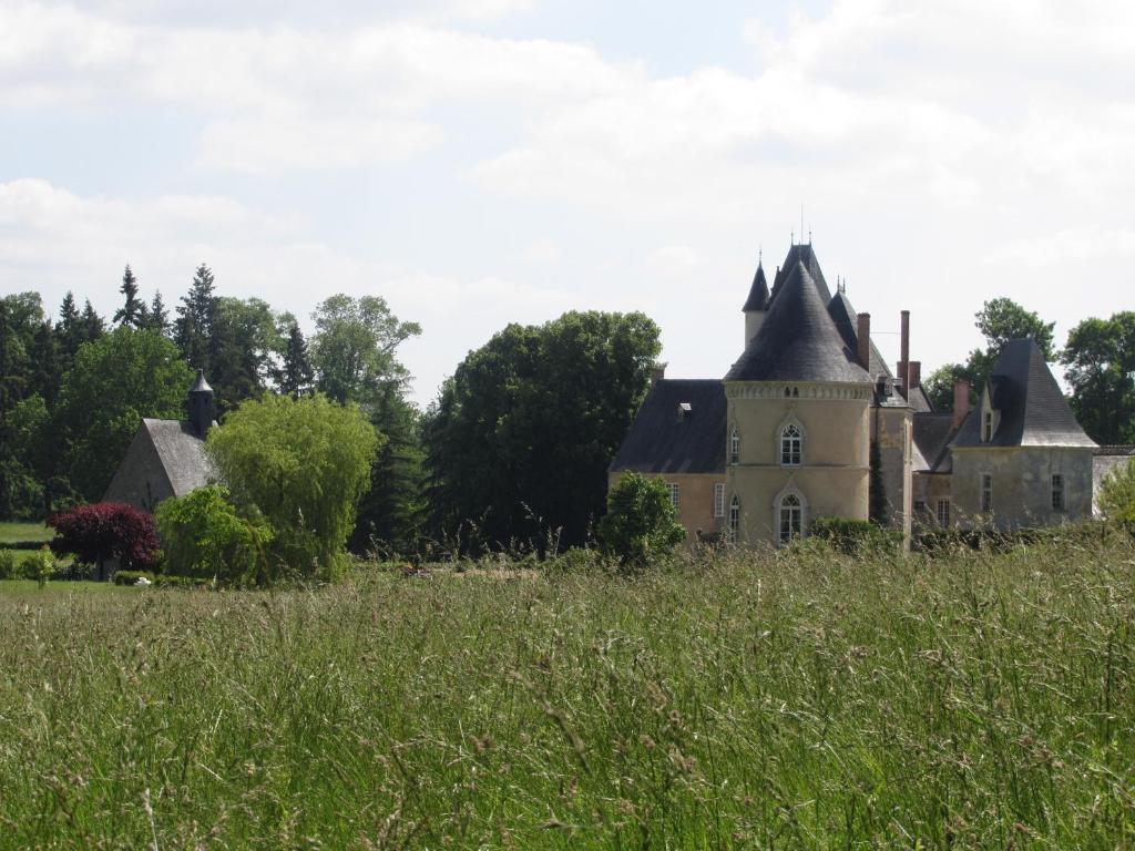Chateau De Vauloge Ferce-sur-Sarthe Exterior photo