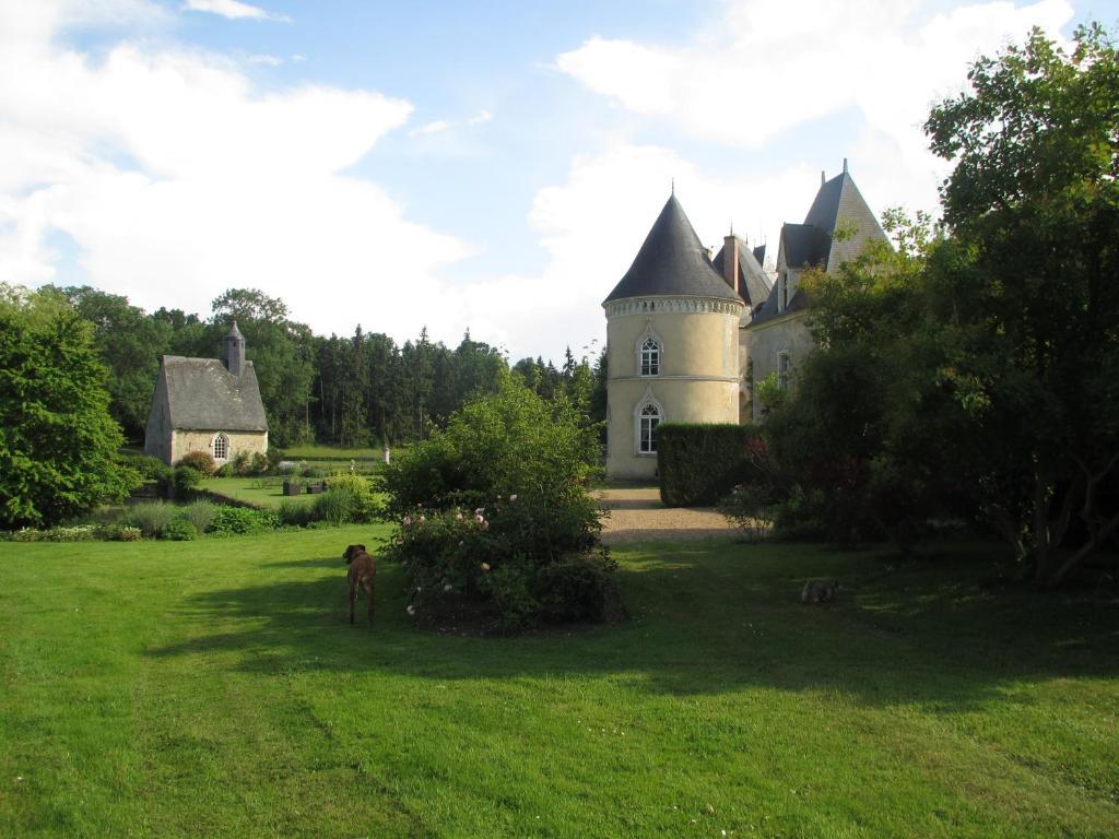 Chateau De Vauloge Ferce-sur-Sarthe Exterior photo