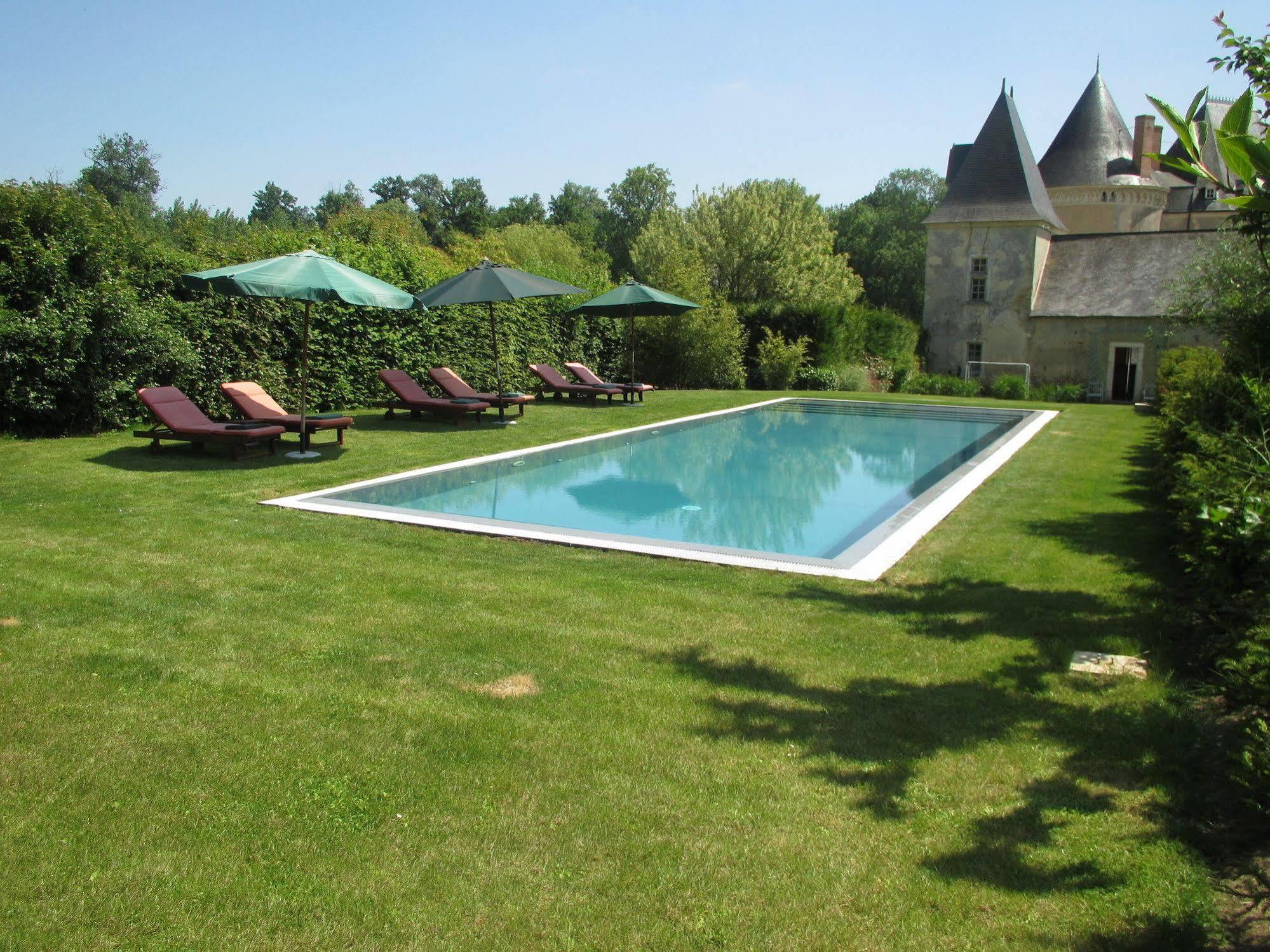 Chateau De Vauloge Ferce-sur-Sarthe Exterior photo