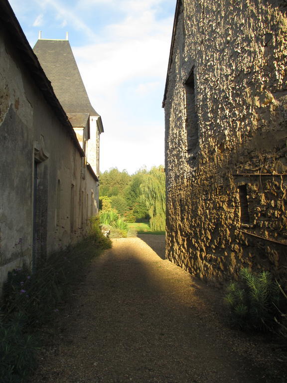 Chateau De Vauloge Ferce-sur-Sarthe Exterior photo
